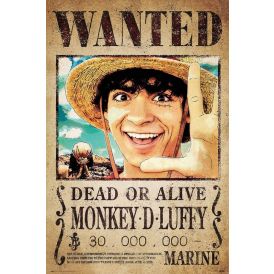 Poster ReindersOne Piece - wanted monkey d. Luffy  082
