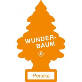 Lõhnakuusk Wunderbaum Persika
