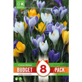 Krookus Kapiteyn Colour Mix 8 tk