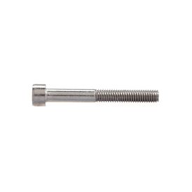 Sisekuuskantpoldid Profi Depot DIN912 A2, 5 x 20 mm, 100 tk