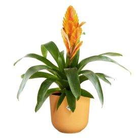 Ümbrispott Elho Jazz  Ø14 cm, kollane