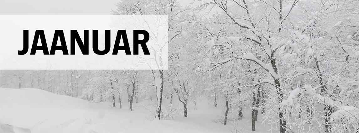 Jaanuarikuu aiandusn&otilde;uanded