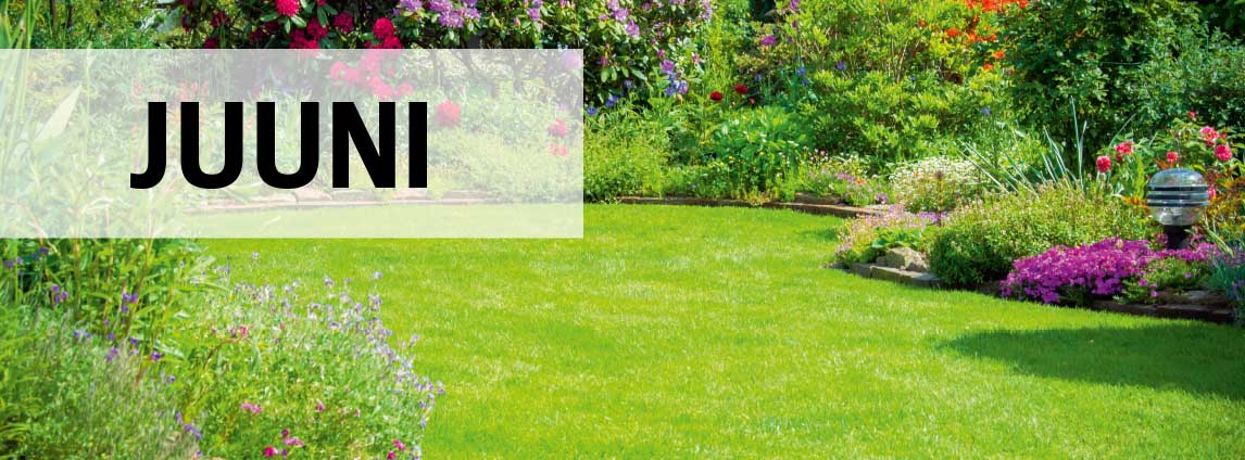 Juunikuu aiandusn&otilde;uanded