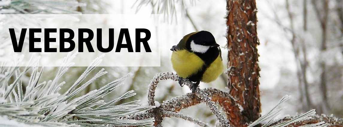 Veebruarikuu aiandusn&otilde;uanded