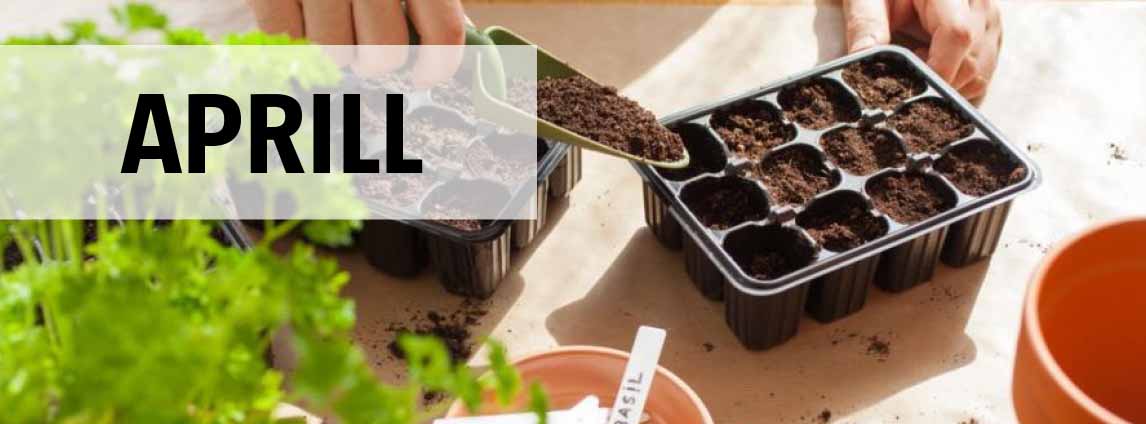 Aprillikuu aiandusn&otilde;uanded